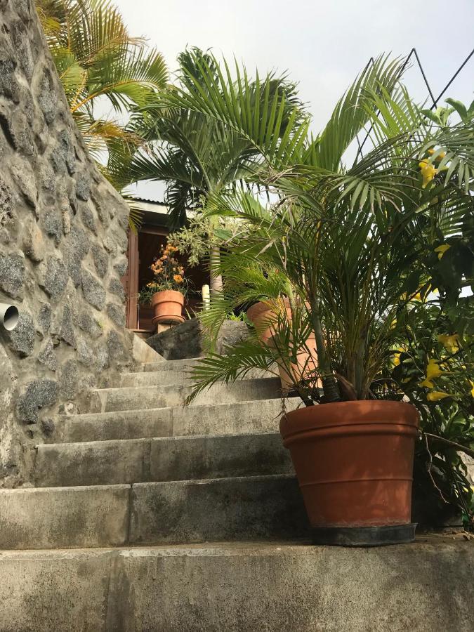 Villa Moai 974 圣勒 外观 照片